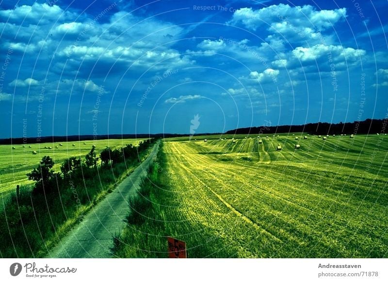 field Field Summer Grass Sky Clouds Background picture Tree Bushes Sun Lawn Blue wallpapers grey Street Signs and labeling