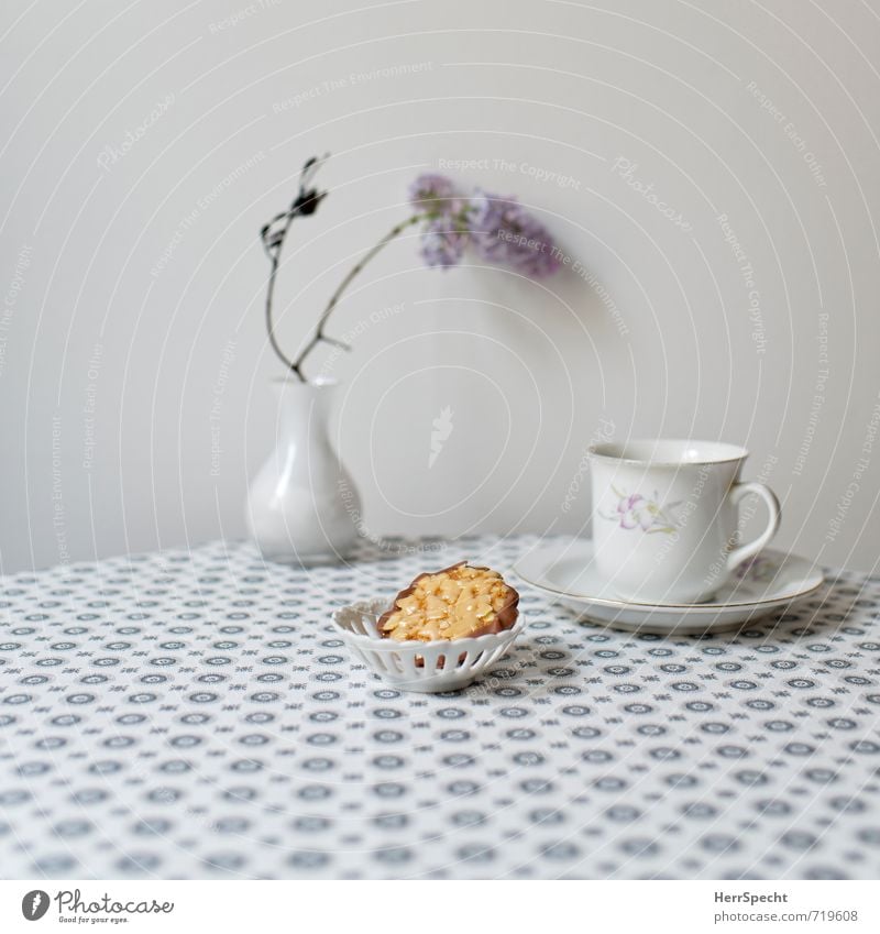 afternoon tea Food Candy Chocolate Beverage Hot drink Hot Chocolate Coffee Tea Living or residing Decoration Table Beautiful Retro Clean Gray Tablecloth Pattern