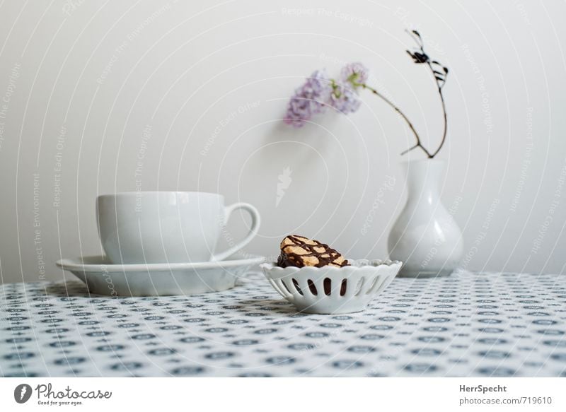 Coffee break with lilac Hot drink Hot Chocolate Tea Living or residing Interior design Decoration Table Esthetic Beautiful Retro Round Clean Gray White