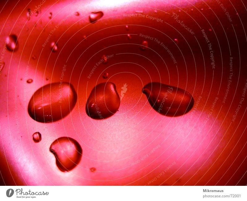 red Red Rouge Drops of water Water Drinking water Rain Dew Background picture Sink Colour Wet Light Shadow Detail Glittering Kitchen wallpapers Hydrophobic