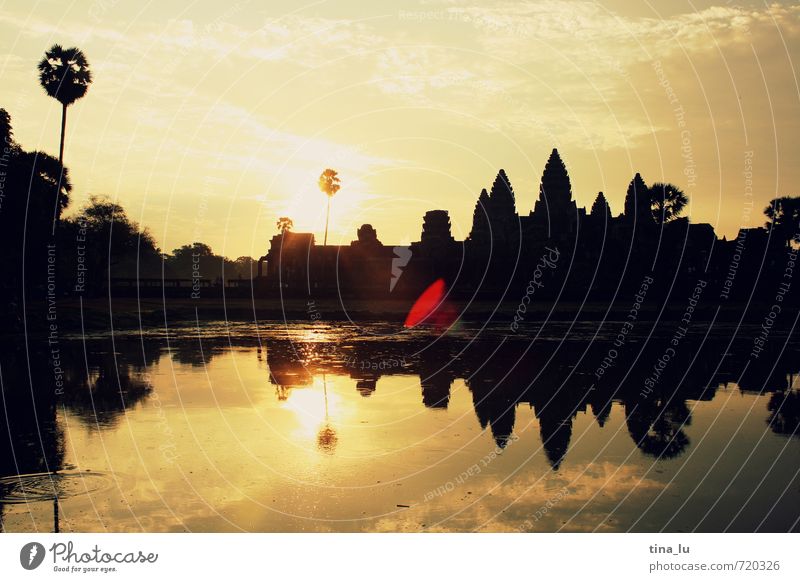 sunrise at angkor wat Sun Beautiful weather Tree Tower Angkor Wat Poverty Esthetic Brown Yellow Gold Black Adventure Uniqueness Elegant Experience