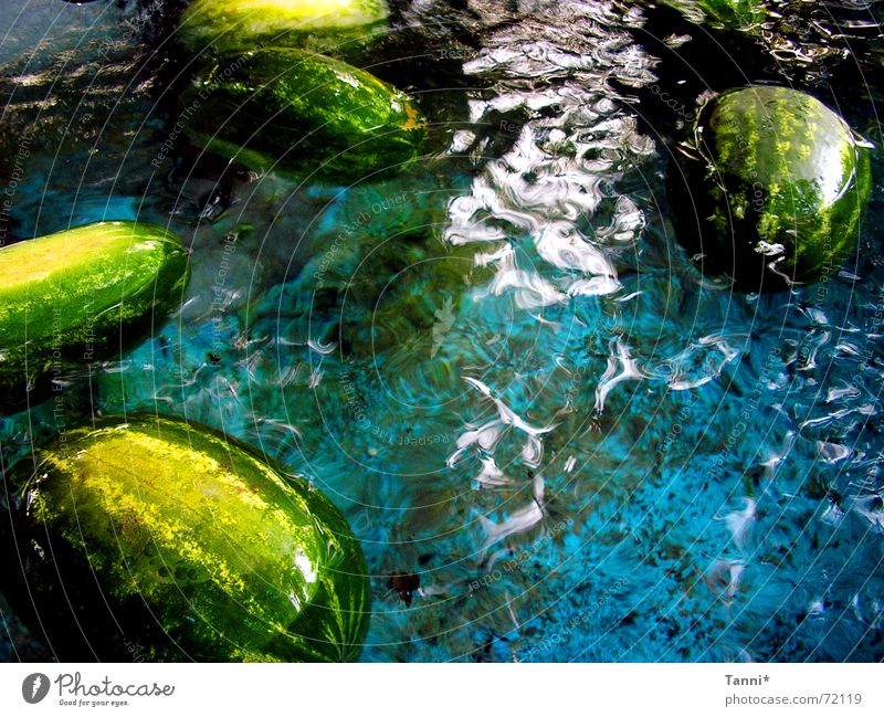 watermelons Water melon Green Effervescent Fresh Blue blu fruit Appetite