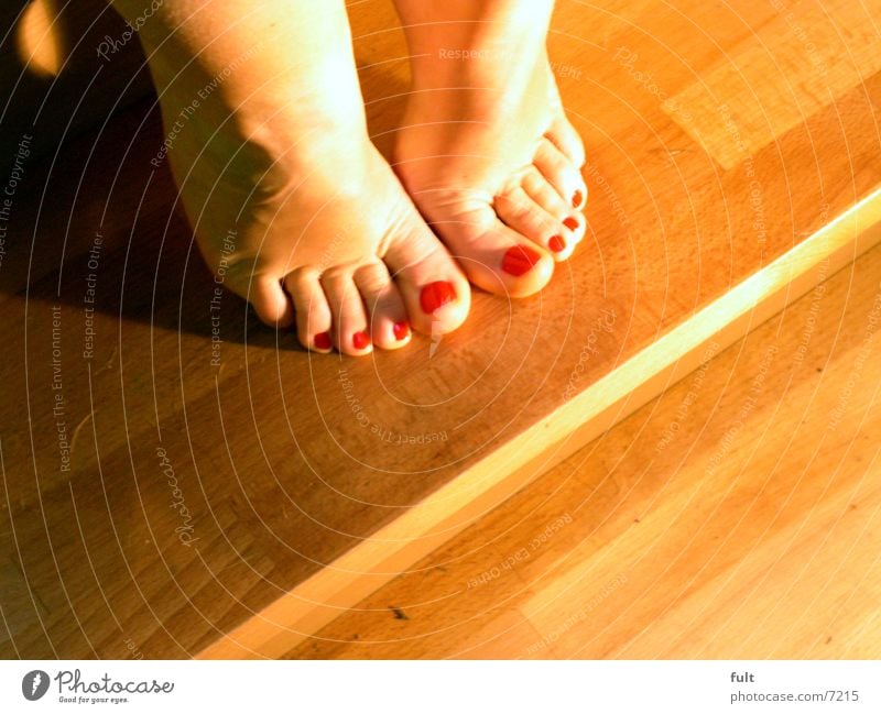 feet Toes Woman Wood Consecutively Feet Legs Human being Skin Stairs Sit Indicate Shadow laid Ankle Hoe Barefoot