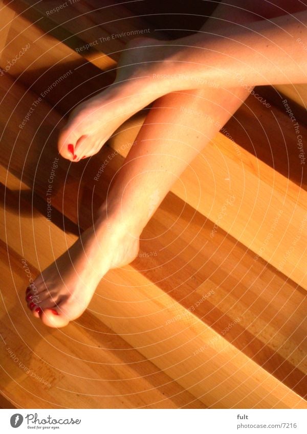 feet Toes Woman Wood Consecutively Feet Legs Human being Skin Stairs Sit Indicate Shadow laid Ankle Hoe Barefoot