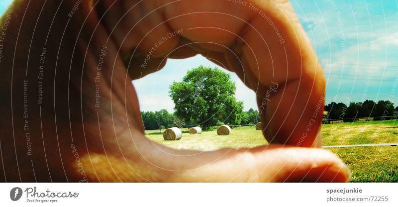 peephole in nature Hand Hollow Grass Tree Bale of straw Clouds Far-off places Yellow Nature Pasture Sky Looking Blue