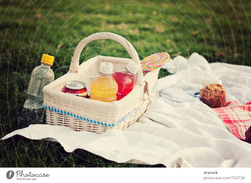 candy and soda Food Cake Picnic Beverage Drinking water Juice Sweet drarock Lollipop Cupcake Basket Grass Park Green Bottle Colour photo Exterior shot Deserted