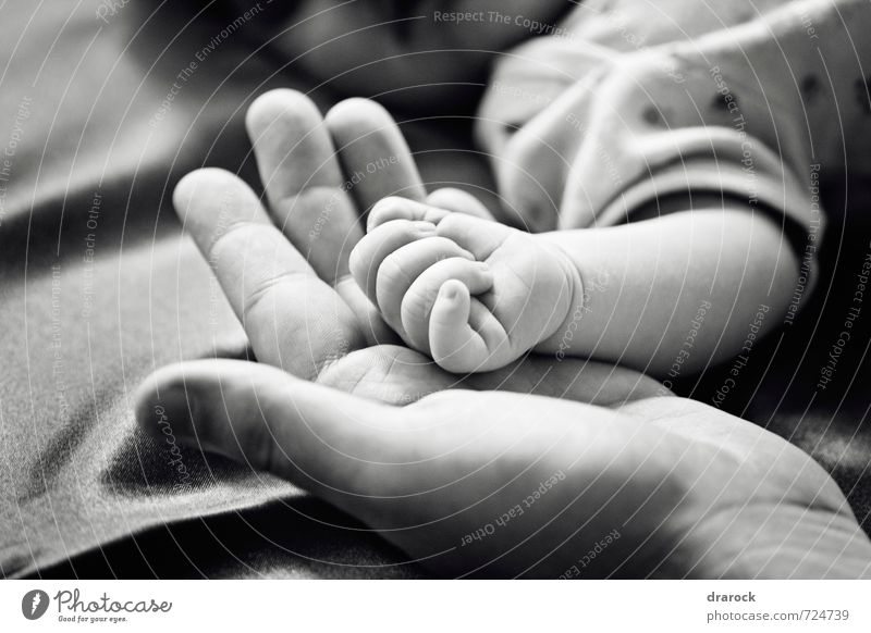 Little thing Masculine Baby Father Adults Infancy Hand Fingers 2 Human being 0 - 12 months Beautiful Together Love Contact drarock Black & white photo Detail