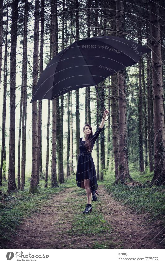 surreal / 2200 Feminine Young woman Youth (Young adults) 1 Human being 18 - 30 years Adults Nature Forest Exceptional Dark Umbrella Surrealism Colour photo