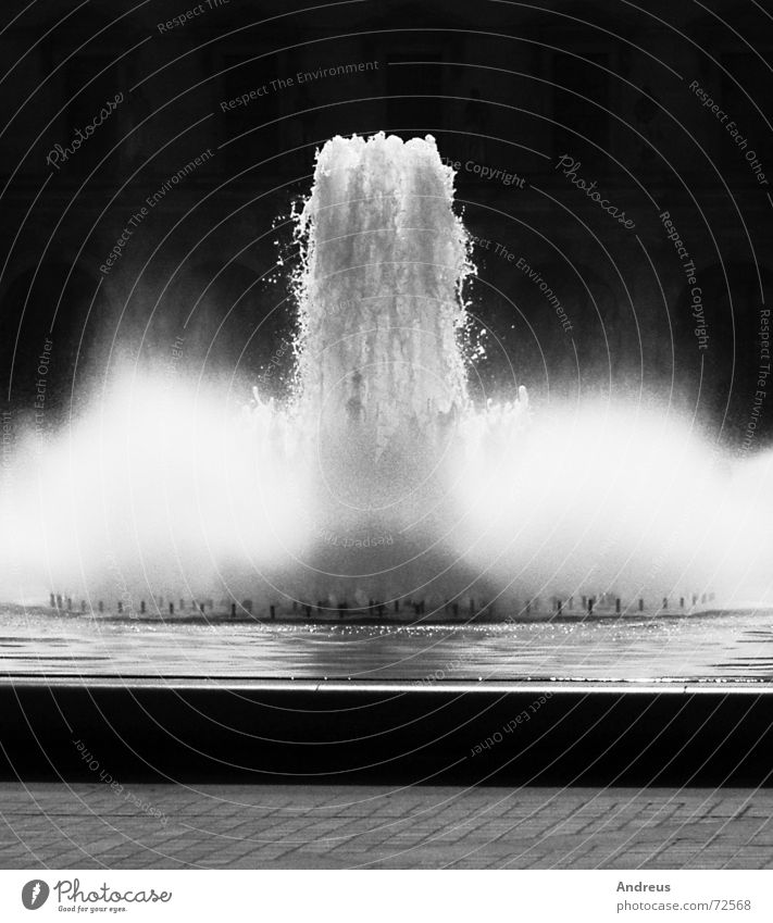 fountain Water fountain Effervescent White crest Louvre Well Loud Black & white photo milk foam Mineral water
