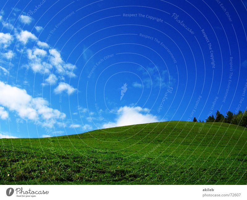 teletubbies Meadow Grass Green Clouds Calm Background picture Safety (feeling of) Relaxation Exterior shot Nature Blue Sky Lawn Pasture Warmth