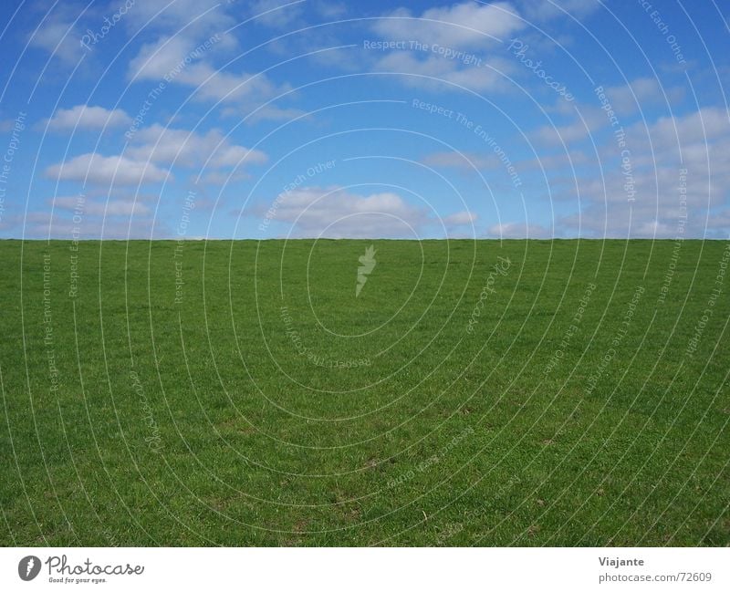 vertical horizon line Meadow Clouds Grass Summer Physics Horizon Sky Germany Green Background picture Nature Calm Structures and shapes no sheep today