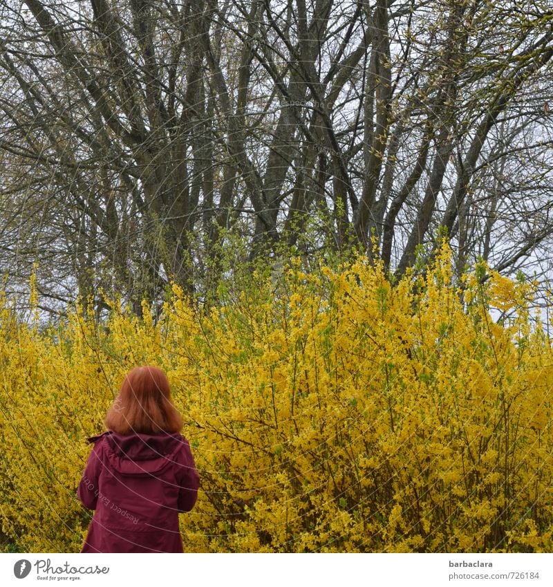 AST 7 | lady in red Feminine Woman Adults 1 Human being Nature Landscape Plant Spring Tree Bushes Park Coat Red-haired Looking Stand Fresh Many Wild Yellow