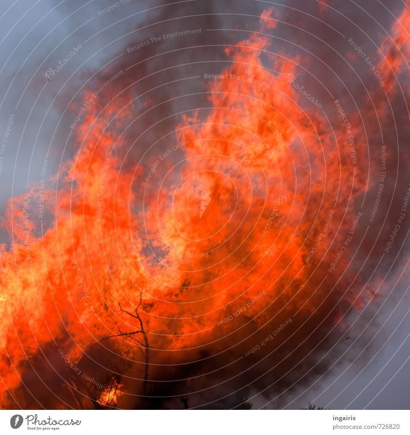 It burns! Feasts & Celebrations Easter fire Fire Sky Wood Sign Smoke Smoking Threat Large Hot Bright Blue Orange Risk Moody Environment Transience Flame
