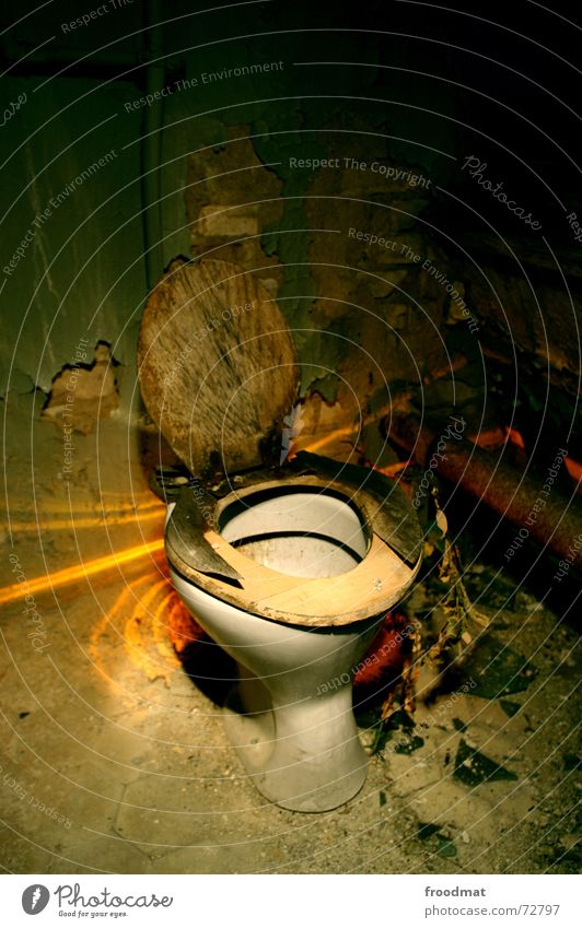 lavatory Dusty Dirty Plaster Eyeglasses Wood Long exposure Needs Village Urinal Trash Light Drainage Hideous Creepy Cleaner Plant Toilet Loneliness Death