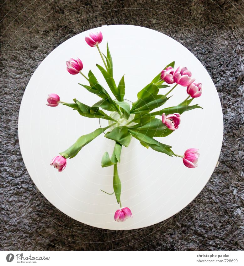 tulip table Living or residing Flat (apartment) Interior design Decoration Furniture Table Living room Spring Flower Tulip Blossoming Flower vase Round Bouquet