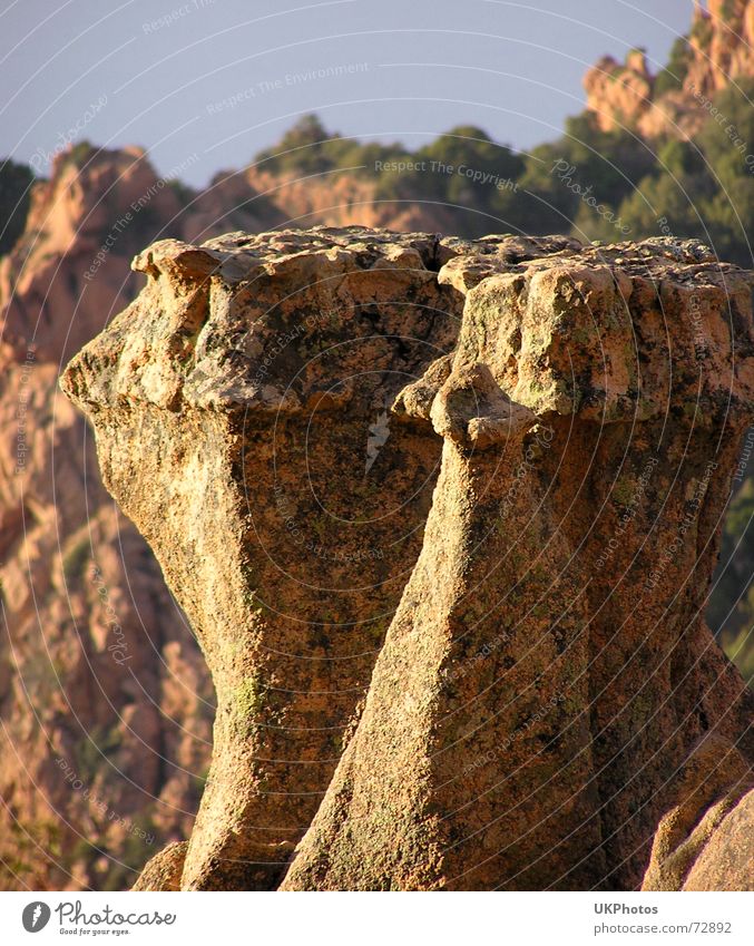 rock teeth Corsica Rock Landscape piana les calanches Nature Stone