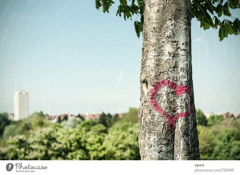 Before town love Youth culture Graffiti Sky Spring Plant Tree Tree trunk Garden Park Forest Town Sign Heart Uniqueness Happy Joie de vivre (Vitality)