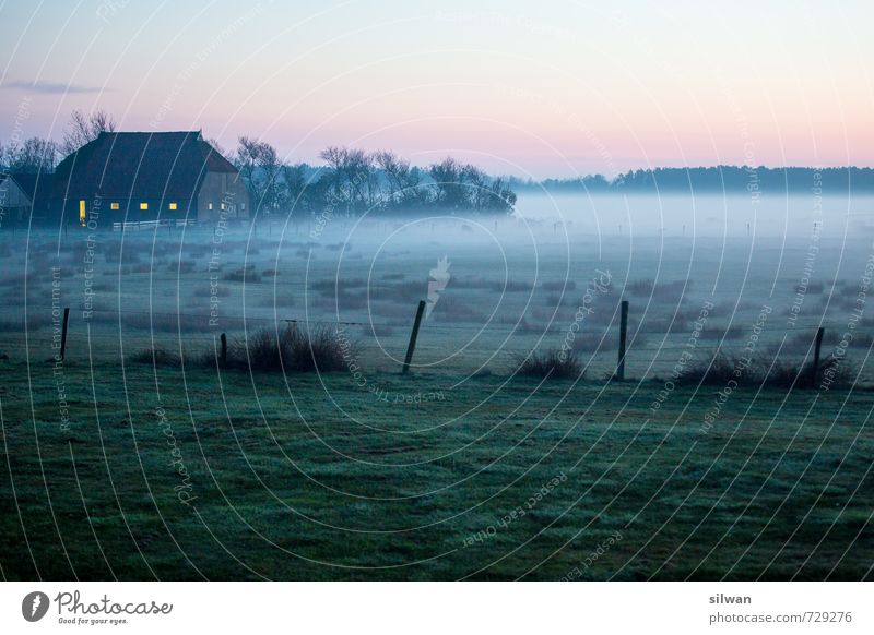 foggy farm Landscape Spring Beautiful weather Fog Bushes Moss Field Threat Creepy Cold Calm Dream Loneliness Farm House (Residential Structure) Fence Fence post