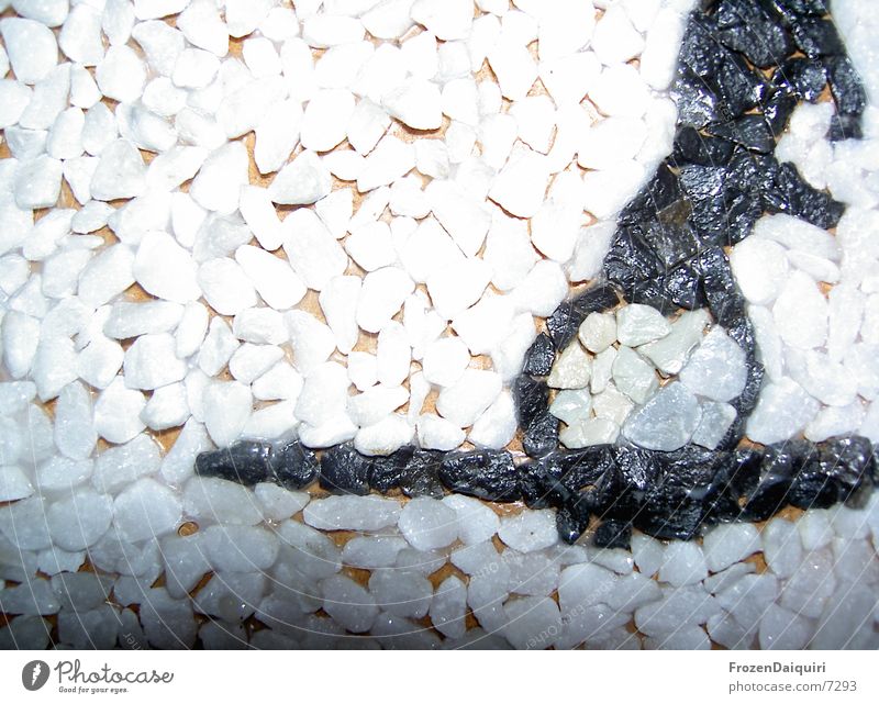 Pebble picture/white Mosaic Macro (Extreme close-up) White Black Gray Living or residing Image Close-up