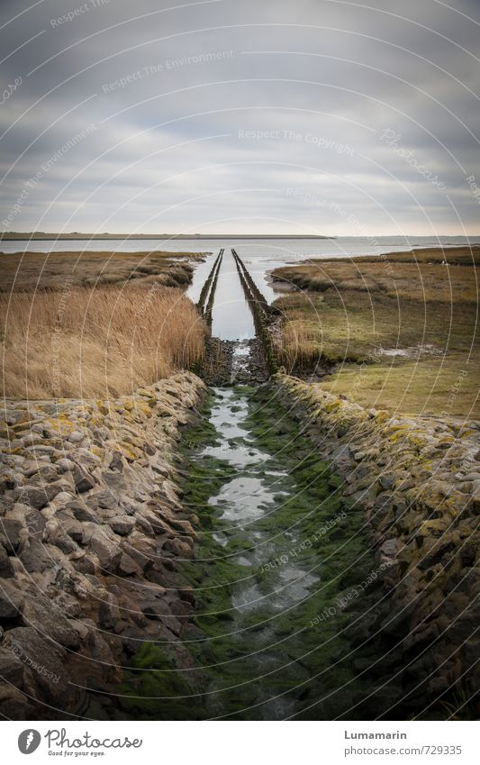 passage Environment Landscape Elements Earth Water Sky Clouds Horizon Bad weather North Sea Ocean Freedom Lanes & trails Target Vanishing point Channel Stone
