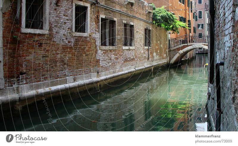Canal in Venice House (Residential Structure) House wall Wall (barrier) Window Italy Reflection Romance Calm Narrow Water Bridge Old Channel Architecture