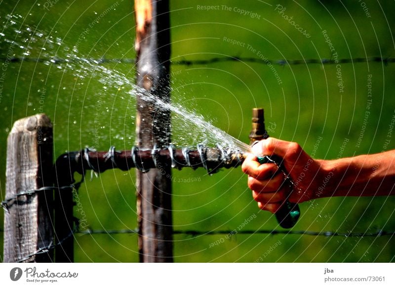 does good! Hose Well Hand Thumb Fingers Barbed wire Fence Wire Wood Pole Wet Cold Refrigeration Damp Grass Green Meadow Water Inject Drops of water Arm Thorn