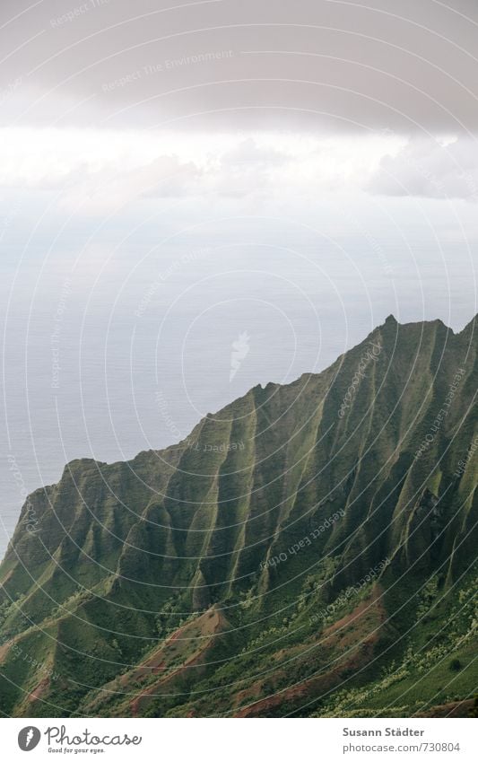Na Pali Coast State Park Nature Landscape Summer Grass Rock Mountain Canyon Ocean Famousness Hawaii Kauai Wrinkles Untouched Colour photo Exterior shot Abstract