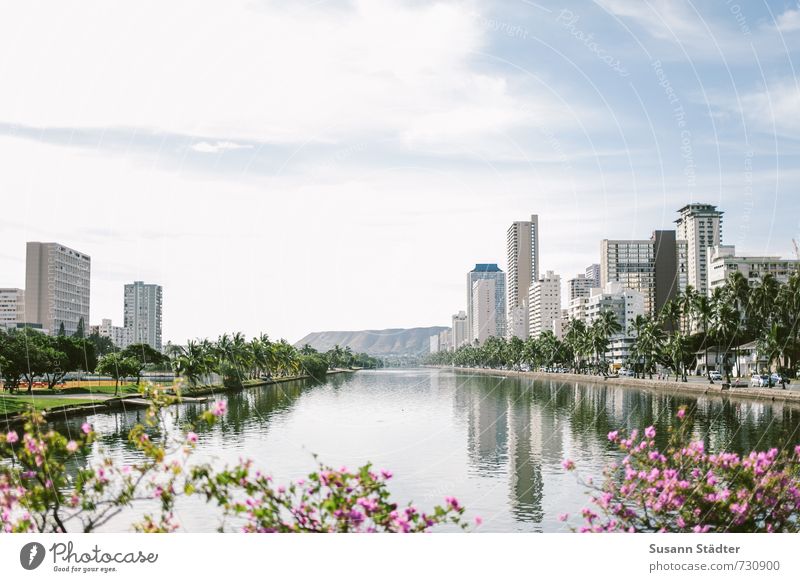 Ala Wai Canal Summer Coast River bank Town Capital city Skyline House (Residential Structure) High-rise Bank building Bridge Tourist Attraction Esthetic Bright
