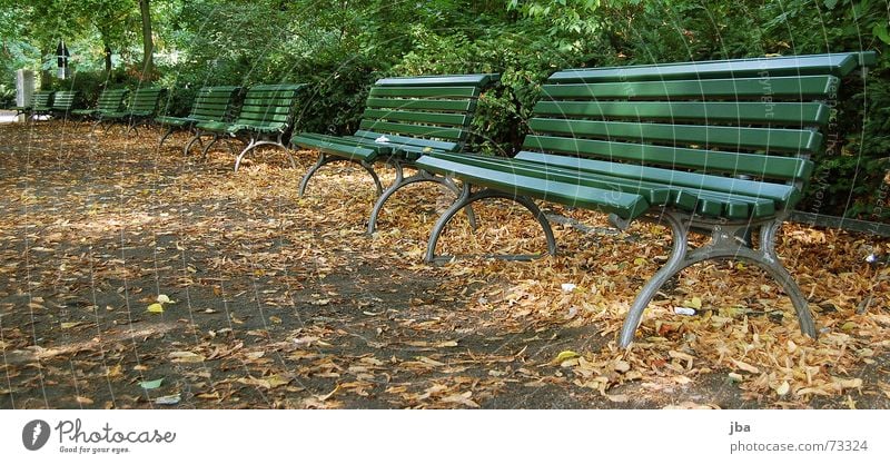 bank park Park Park bench Comfortable Uncomfortable Green Wooden board Iron Bushes Leaf Town Autumn Bench Sit