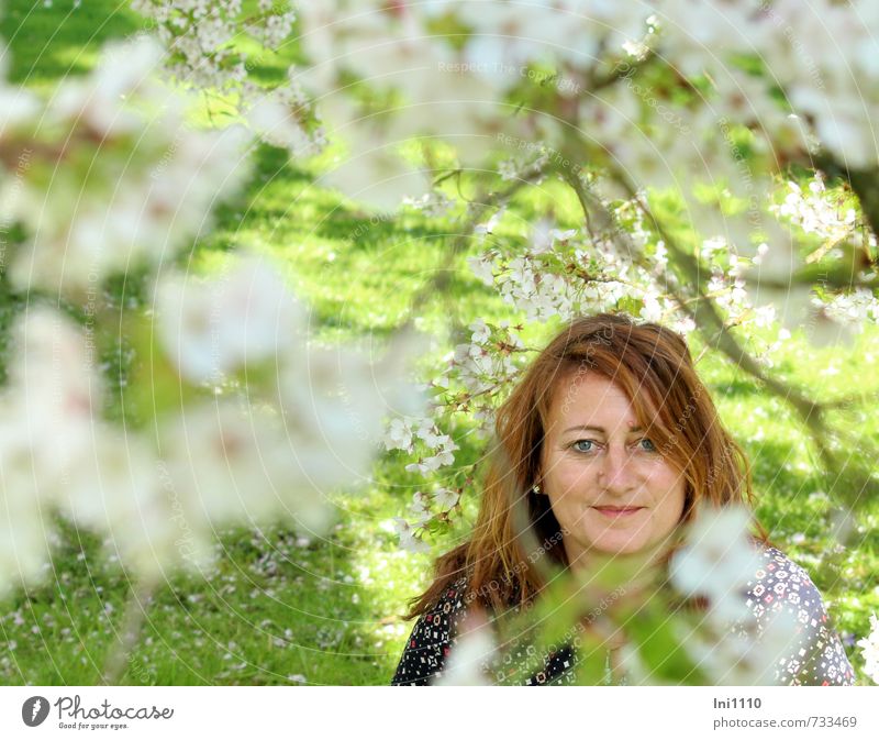 AST 7 |Portrait of a young woman under cherry blossom branches Human being Feminine Young woman Youth (Young adults) Head Hair and hairstyles Face Eyes Nose