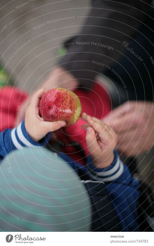 appletime Food Fruit Apple Healthy Healthy Eating Parenting Kindergarten Child Study Toddler Observe Delicious Juicy Help Curiosity Interest Discover Experience