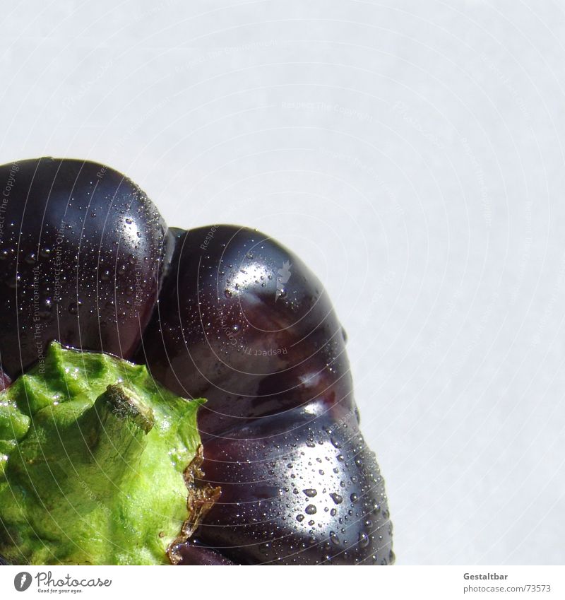 nightshade plant 3 Pepper Nutrition Healthy Vitamin Fresh Delicious Black Violet Formulated Vegetable Food