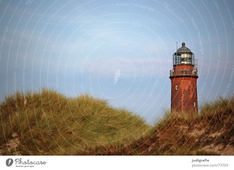 Darßer Ort - lighthouse Lake Lighthouse Ocean Beach coast Grass Navigation Orientation Salty Vacation & Travel Navigation mark Fischland-Darss-Zingst Prerow
