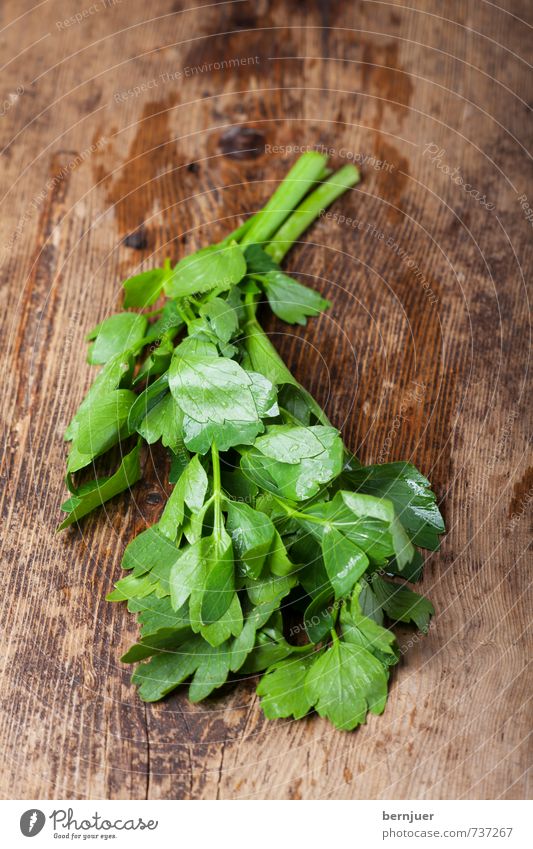 parsley Food Herbs and spices Organic produce Vegetarian diet Cheap Good Brown Green Leaf Wet Dew Wooden board Rustic Ingredients Deserted Drops of water