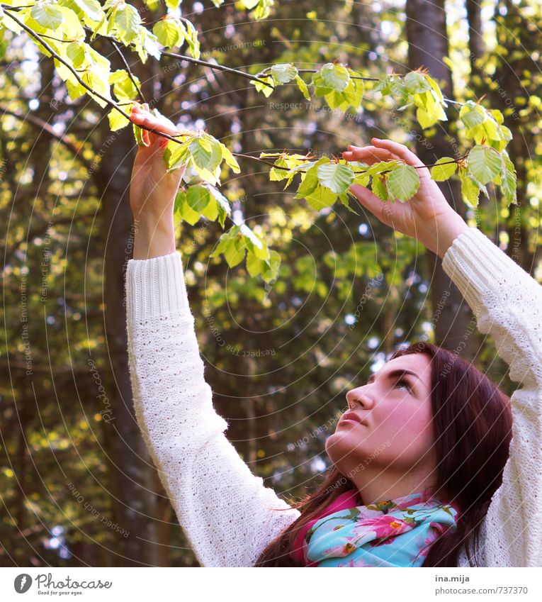 young dark haired woman touches a branch in the forest Human being Feminine Young woman Youth (Young adults) Woman Adults 1 18 - 30 years Environment Nature