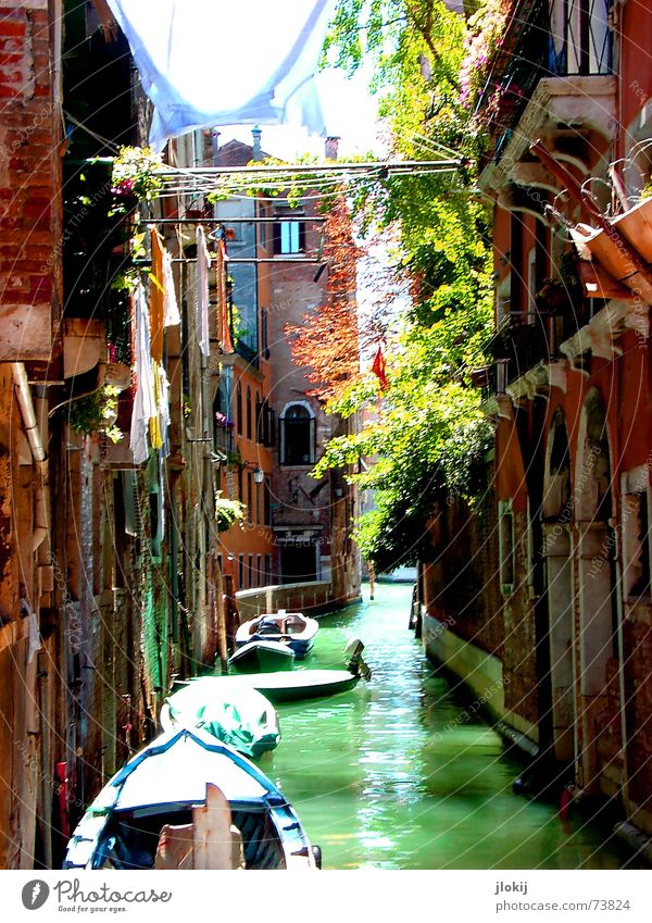 channel_2 Venice Italy Europe Watercraft Sunlight Green Wall (barrier) House (Residential Structure) Waterway Shirt To go for a walk Dream Vacation & Travel
