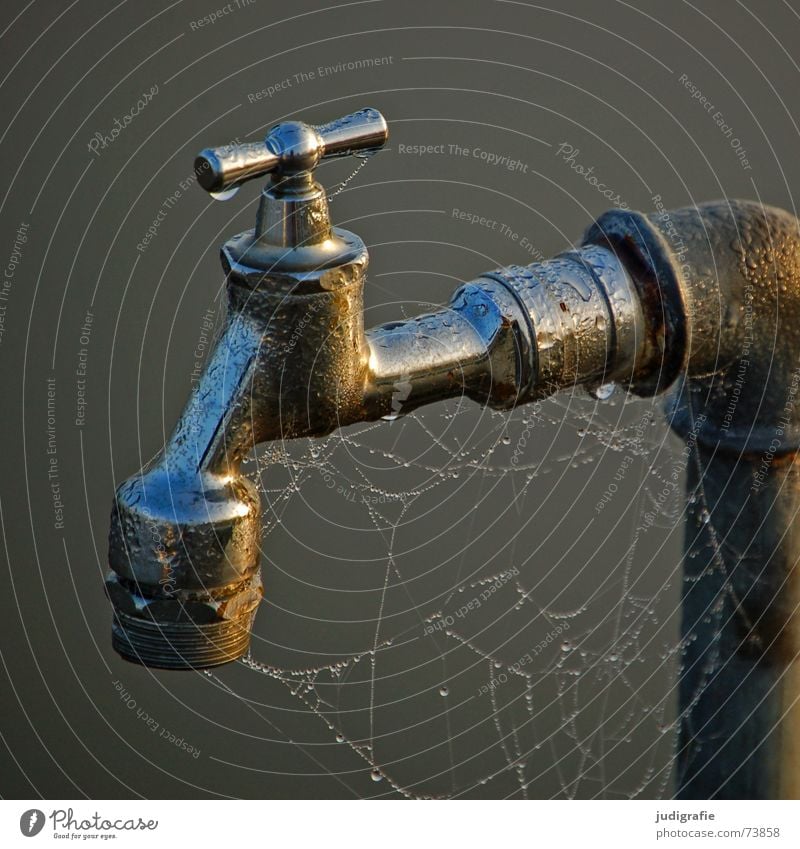 faucet Tap Wet Spider's web Cobwebby Drops of water Dew Morning Damp Fog Connection Glittering Water Metal Erudite Footbridge Screw thread Iron-pipe