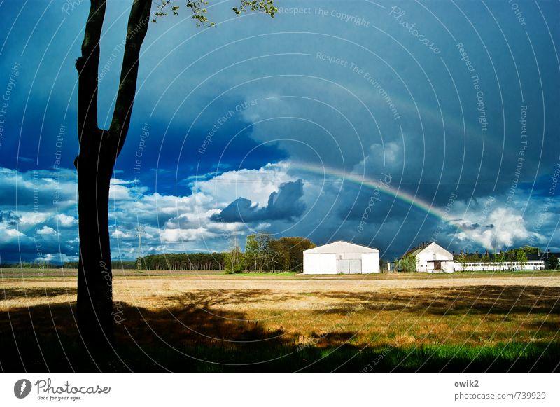 rainbow Environment Nature Landscape Sky Clouds Horizon Climate Weather Beautiful weather Plant Tree House (Residential Structure) Bright Calm Idyll Transience