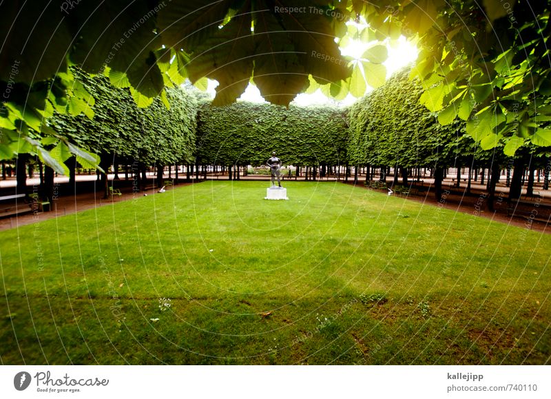 Naked in the park Human being 1 Art Work of art Sculpture Tree Garden Park Meadow Green Paris Horticulture Rectangle Calm France Leaf Colour photo Exterior shot