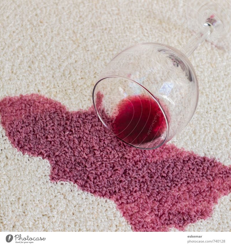 red wine stain Beverage Alcoholic drinks Wine Red wine Redwine glass Glass Living or residing Flat (apartment) Interior design Carpet Authentic Dirty Fluid Wet