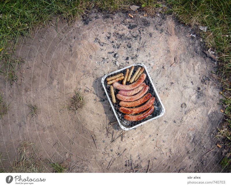 Romantic picnic in the countryside Food Meat Sausage Nutrition Eating Nature Earth Spring Summer Lawn Fireplace Meadow Barbecue (apparatus) Delicious