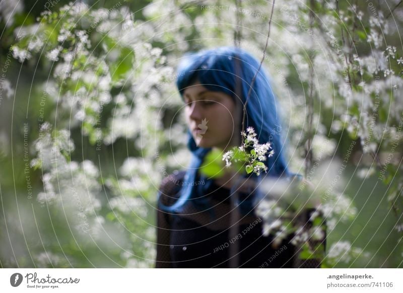 Woman with blue hair stands in profile under tree with white flowers, her eyes are closed Tree Blossom Wig Shallow depth of field blurriness Dreamily Girl