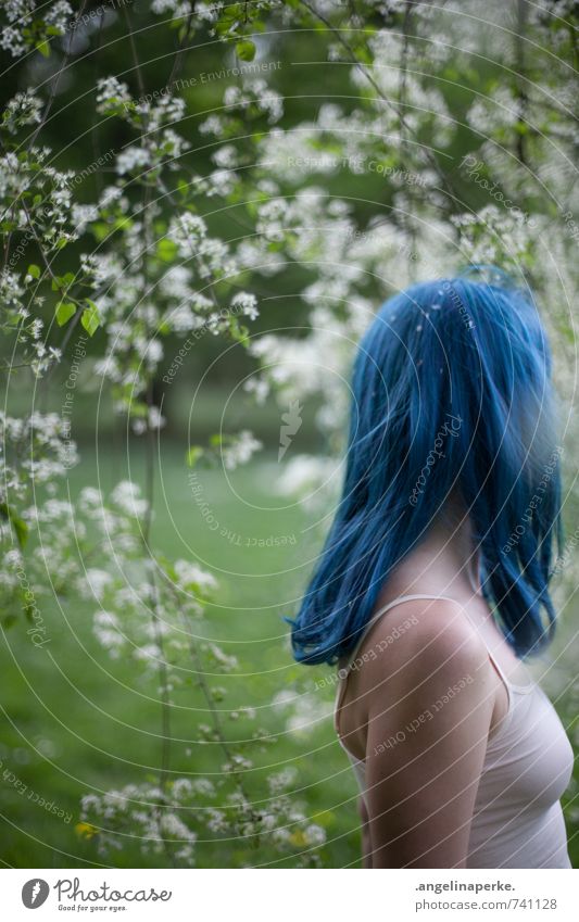 Woman with blue hair stands sideways under tree with white flowers, her face is not visible Blossom Grass Wig Hair and hairstyles Looking away Anticipated