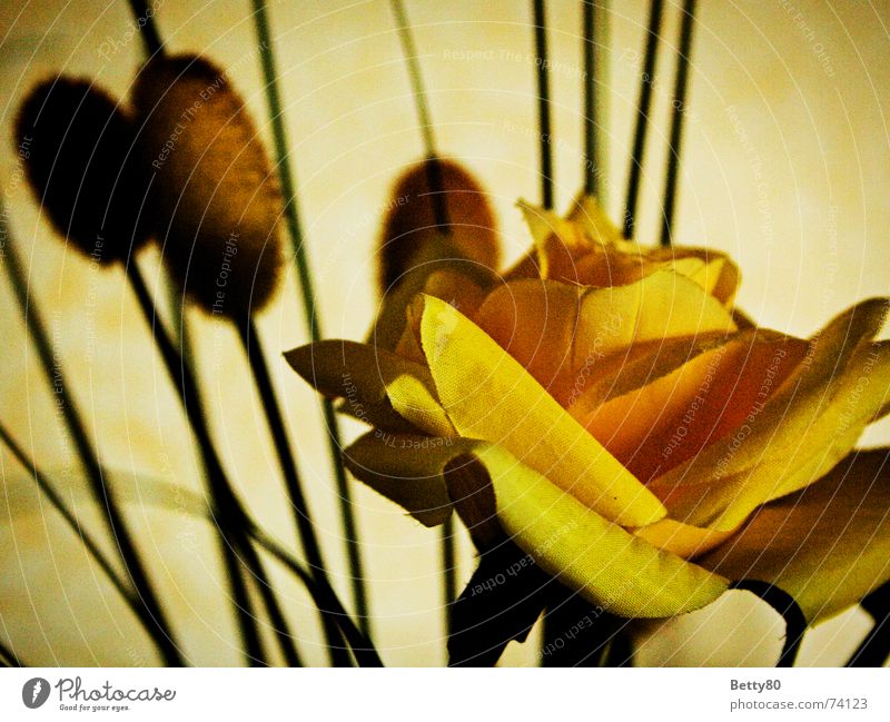Original or forgery Rose Artificial flowers Yellow Flower Silk flower False Placed