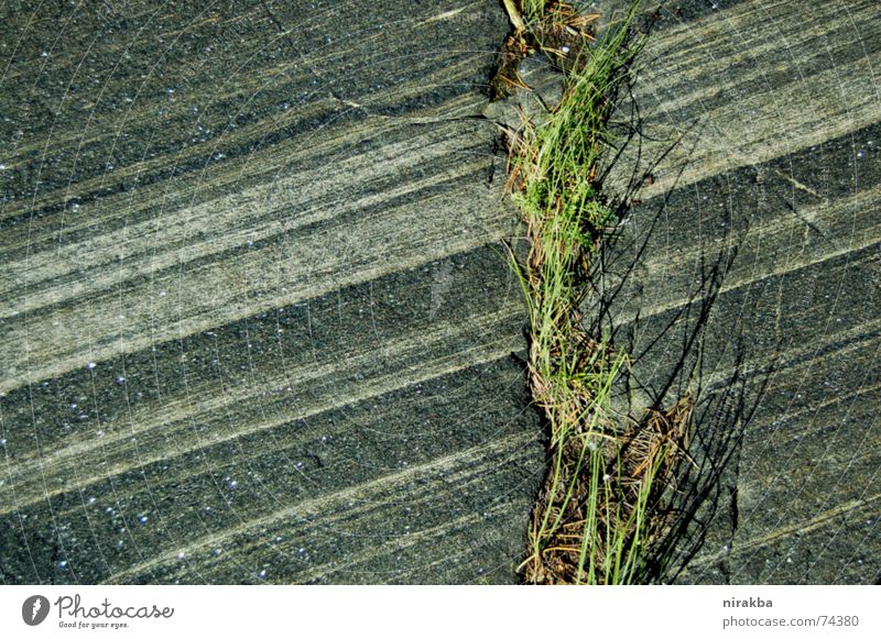 straight lines Grass Gray Green Stripe Stone Rock Line
