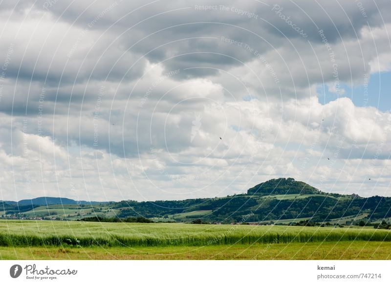 Love your home // Landmarks Environment Nature Landscape Sky Clouds Storm clouds Sunlight Spring Weather Plant Agricultural crop Barley Barleyfield Cornfield