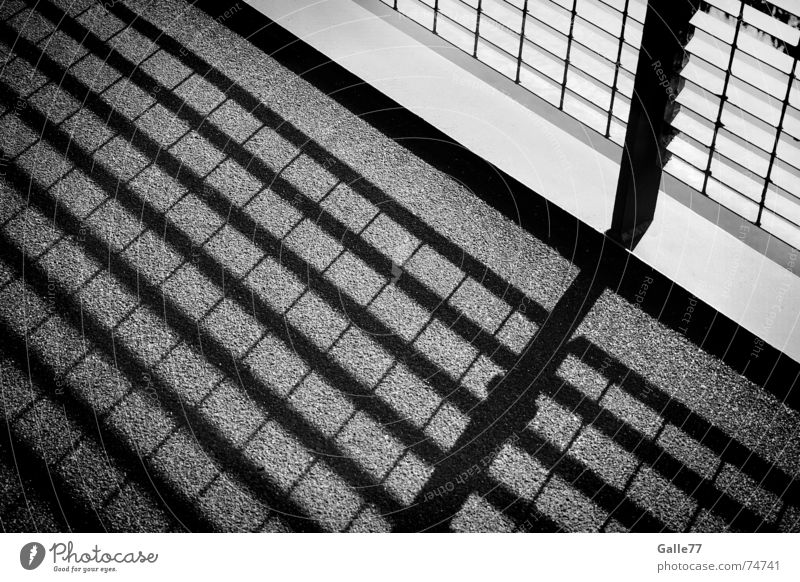 shadow play Light Square Geometry Grating Harmonious Calm Comforting Converse Shadow Structures and shapes Black & white photo