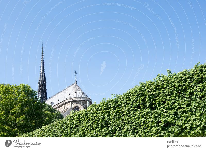 Lady, backside Cloudless sky Spring Beautiful weather Hedge Paris France Town Capital city Church Tourist Attraction Landmark Notre Dame Blue Green Elated
