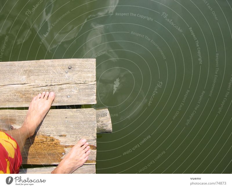 A day at the lake Footbridge Lake Swimming trunks Pond Summer Water Feet Swimming & Bathing Skin
