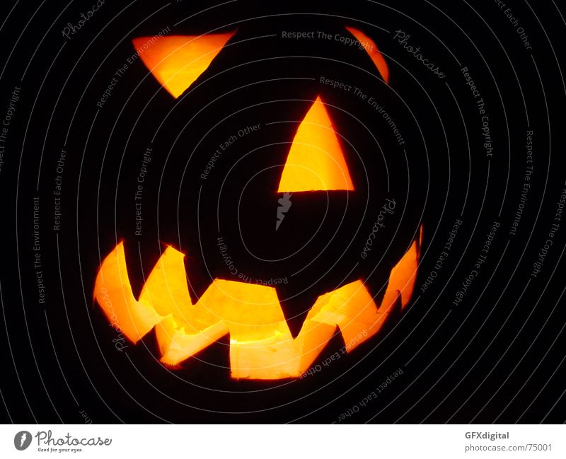 Halloween Hallowe'en Face Scare Dark haloween Pumpkin nightmare creep